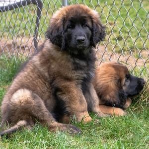 Meet your Posher, Fran